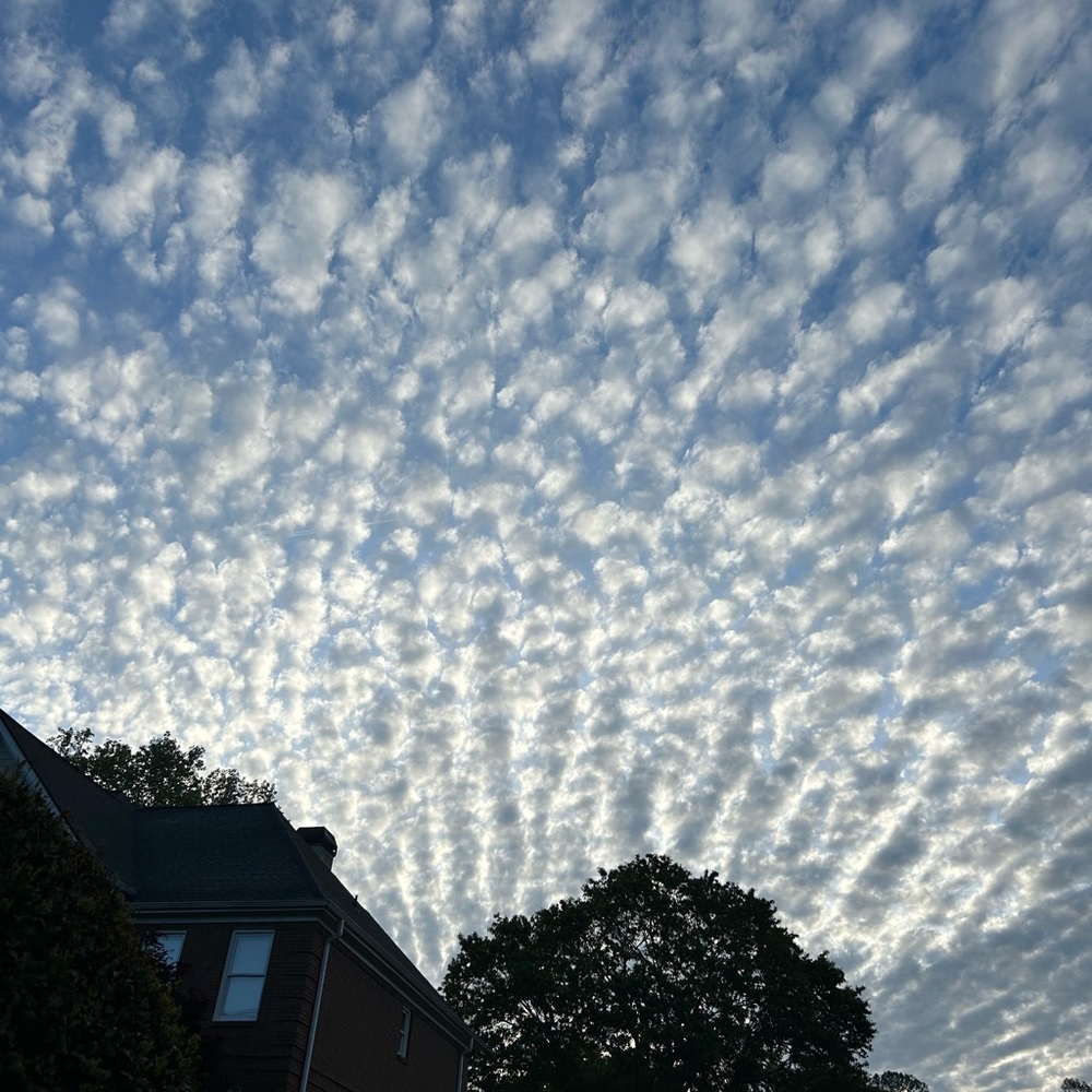 Meet your Posher, Whitney